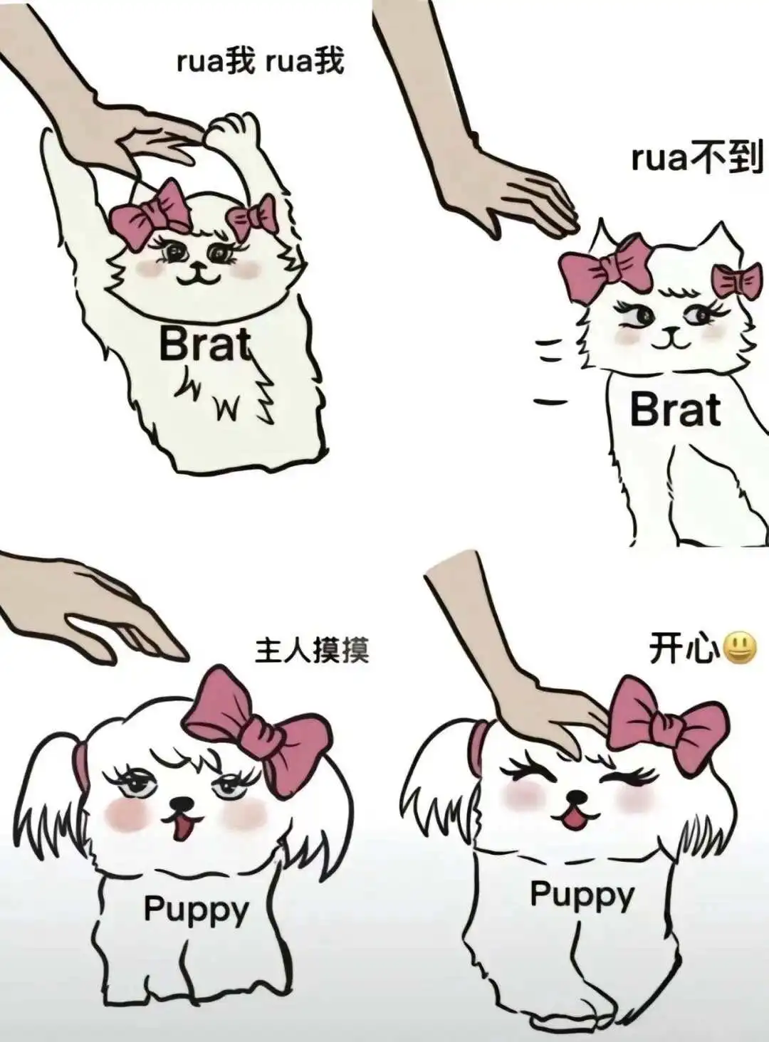 西檬之家s属性是什么意思?字母圈新人入圈必看 一