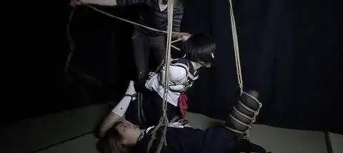 西檬之家字母圈Dom是什么意思? 一