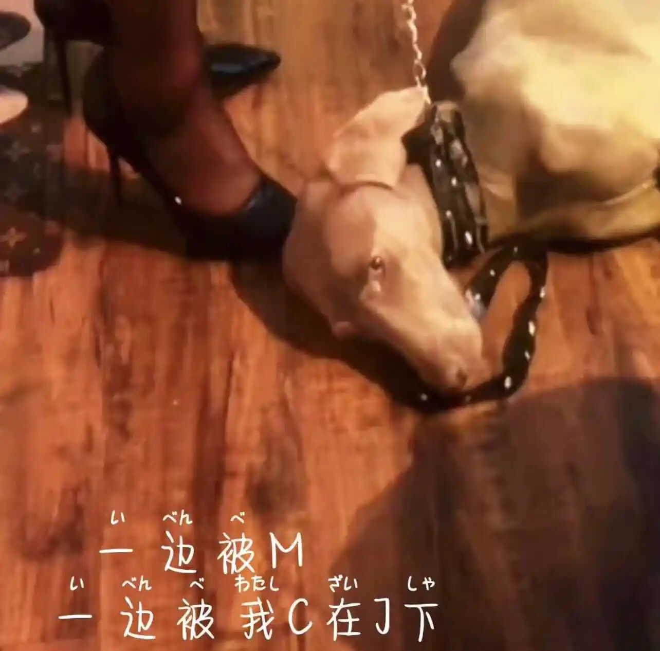 西檬之家字母圈的安全词如何设置? 一