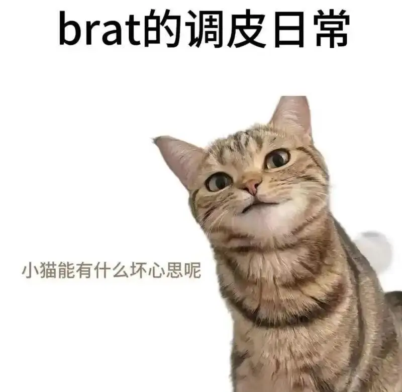 西檬之家TS是什么意思?字母圈跨性别者解读 一