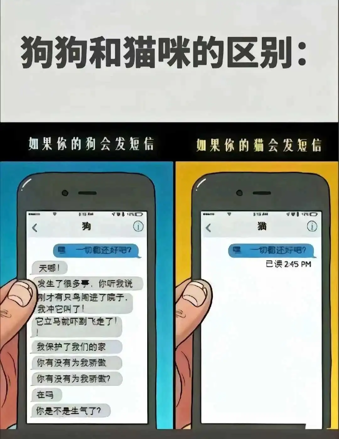 西檬之家m倾向是什么意思?字母圈新人入圈 一