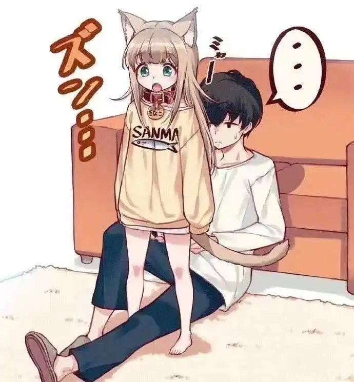 西檬之家K8猫系是什么?你的字母圈属性是什么 一