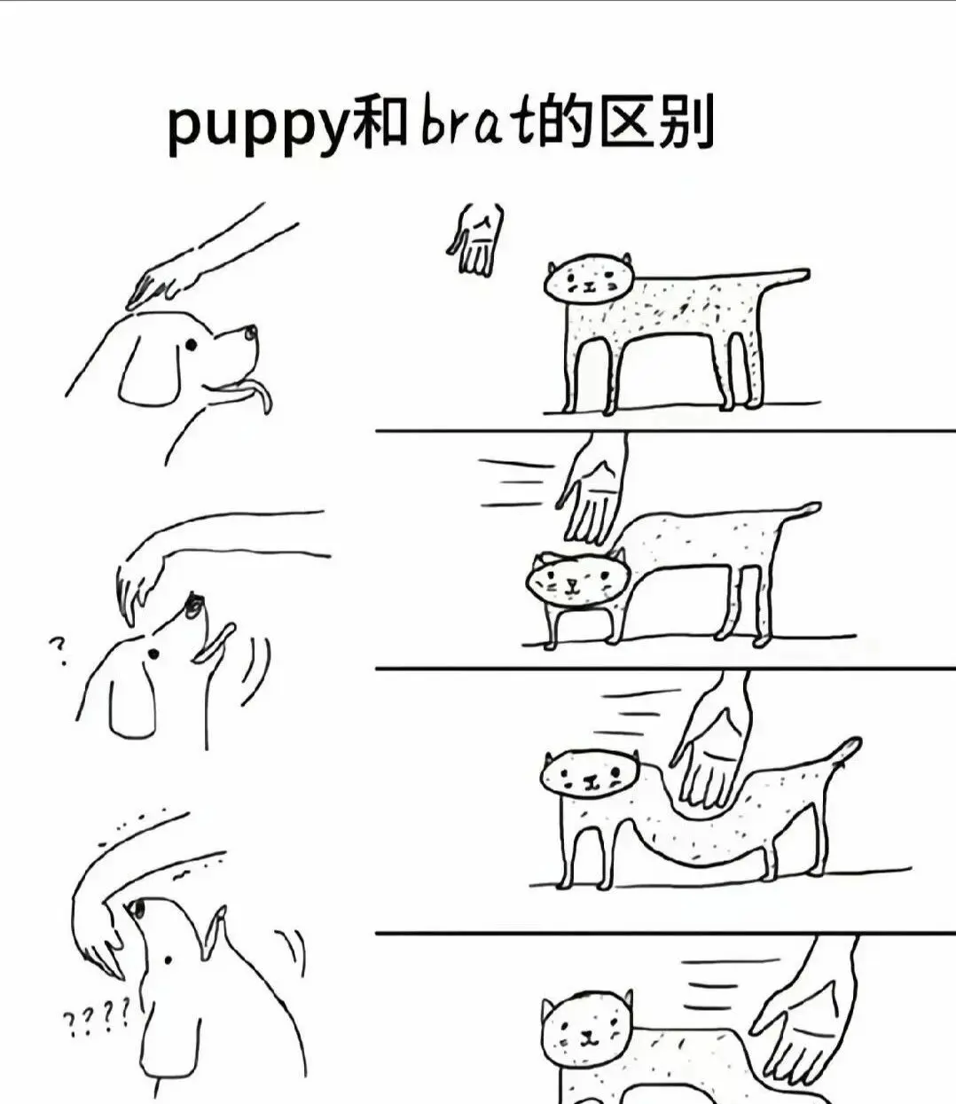 西檬之家字母圈的大圈是什么意思? 一