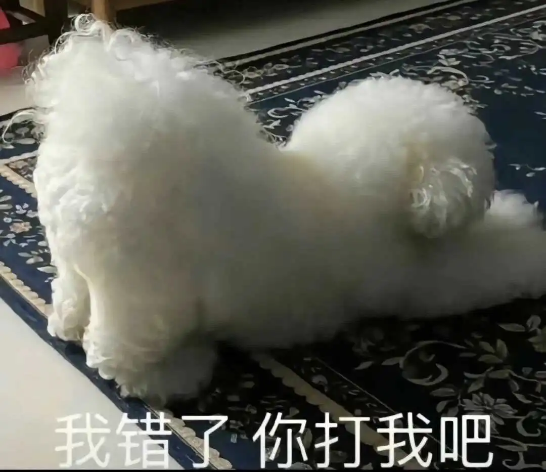 西檬之家BDSM入圈新人指南,SSC原则是什么? 一