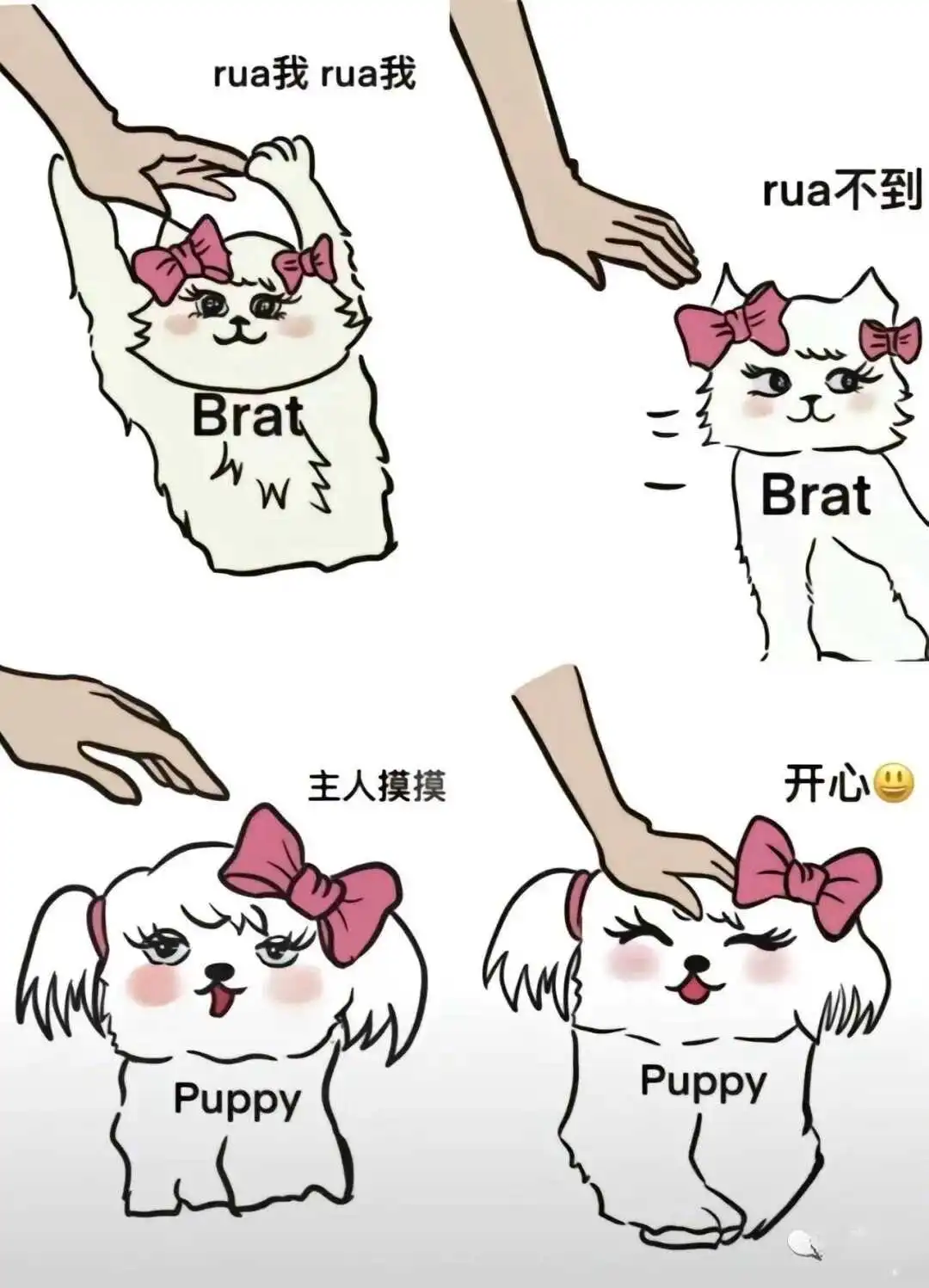 西檬之家字母圈Dirty Talk是什么意思? 一