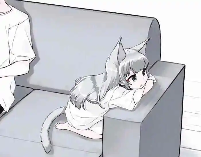 西檬之家s属性是什么意思? 一