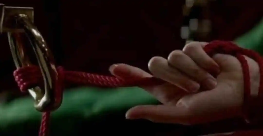 西檬之家BDSM中TS是什么意思? 一