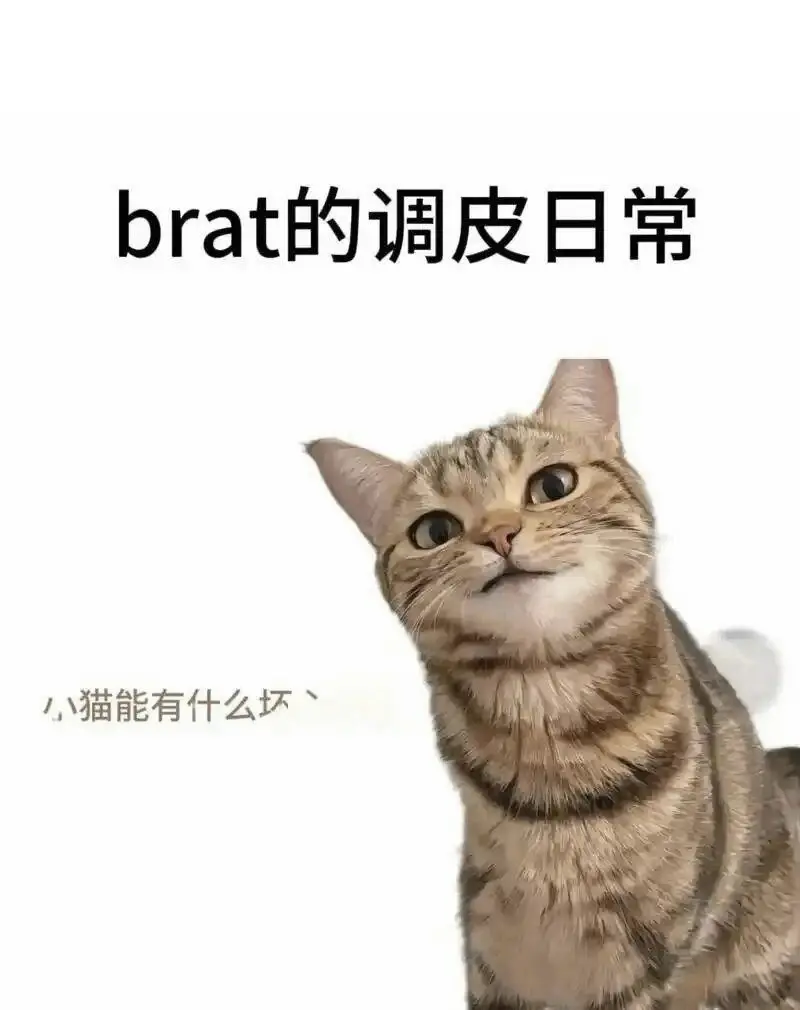 西檬之家CD是什么意思? 一